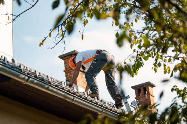 Best Roof Gutter Cleaning  in Potomac, MD