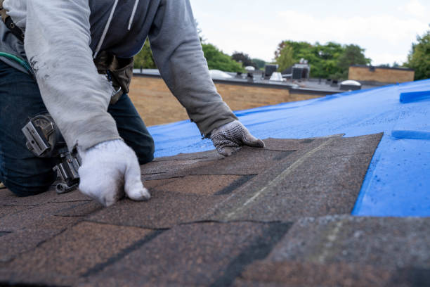 Roof Gutter Cleaning in Potomac, MD